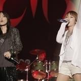 「Eir Aoi LIVE TOUR 2015 -BEYOND THE LAPIS-」ツアーファイナル