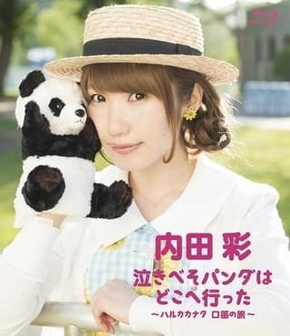 「泣きべそパンダはどこへ行った ~ハルカカナタ 口笛の旅~」パッケージ