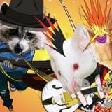 「森のおんがくだん」