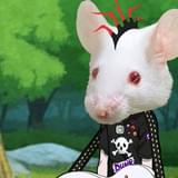 「森のおんがくだん」