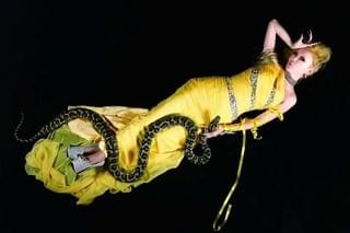 ALI PROJECT ボーカル・宝野アリカ