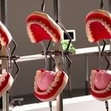 「ファンタスティック・アニメ・マシーン」撮影の様子