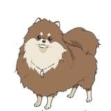 ローエン(CV:山本和臣)キャラクター設定画