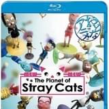 3DCGショートアニメ「The Planet of Stray Cats」のブルーレイ&DVDがTSUTAYAで先行販売
