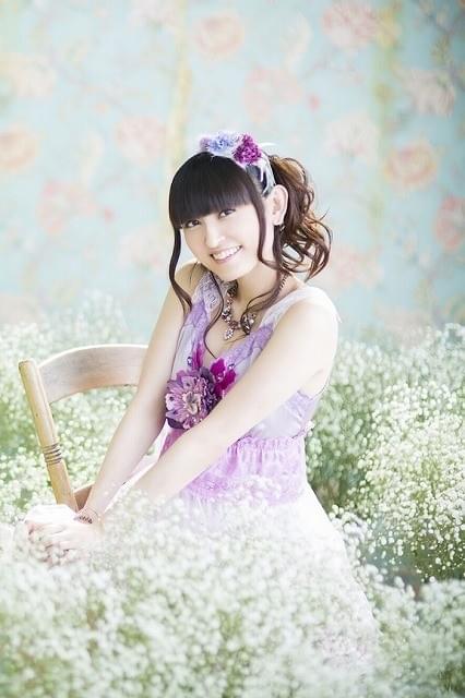 田村ゆかり ライブツアースタッフ用　アクセスオールエリアパス 田村ゆかり ライブツアースタッフ用アクセスオールエリアパス