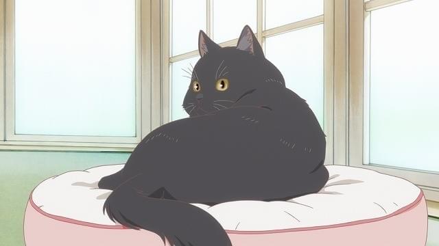 新海誠監督の自主制作作品「彼女と彼女の猫」がテレビアニメ化！主演