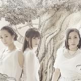 Kalafina、初のアリーナライブと2度目の武道館公演を発表 中国最大級の音楽イベントにも出演決定