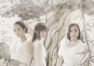 Kalafina、初のアリーナライブと2度目の武道館公演を発表 中国最大級の音楽イベントにも出演決定