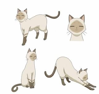 ケニー（CV:佐倉綾音）キャラクターデザイン