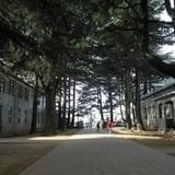 「あがたの森公園」実景写真