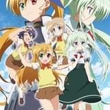 「Compact Editiont」