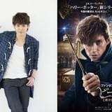 宮野真守がおっちょこちょい魔法使いに!「ファンタビ」吹き替え版で主人公の声を担当