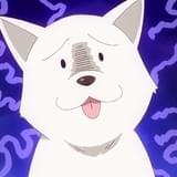 犬（CV:井澤美香子）