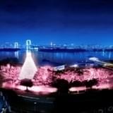 コラボイルミネーションイメージ