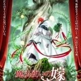 「魔法使いの嫁」TVアニメ化!10月から2クール放送