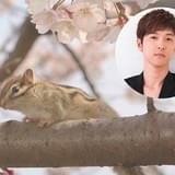 櫻井孝宏、UR賃貸住宅のPR動画で恋の歌を詠む知的なリスに