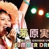 茅原実里、夏恒例「SUMMER DREAM」を今年も開催 ソロライブ100回目へカウントダウン