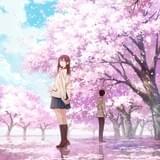 劇場アニメ「君の膵臓をたべたい」初秋公開決定 原作者・住野よる氏が映像化にむけてコメント
