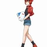 「はたらく細胞」花澤香菜が赤血球に 前野智昭、小野大輔ら体細胞役のメインキャスト発表