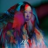 THE SKY FALLS アーティスト盤ジャケット