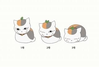 「3（トリプル）ニャンコ先生」が登場