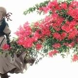 「ヴァイオレット・エヴァーガーデン」新作劇場版が20年1月公開 新ビジュアル披露