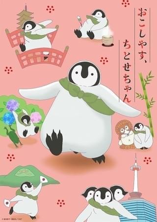 子ペンギンのちとせちゃんが見た京都描く「おこしやす、ちとせちゃん」TVアニメ化