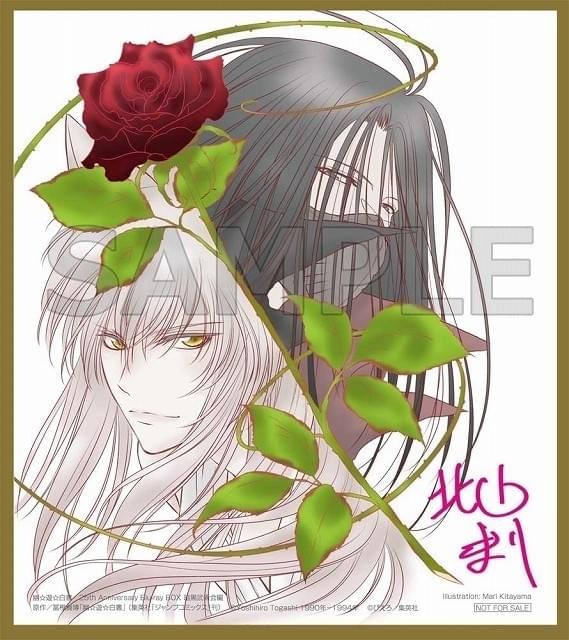 幽☆遊☆白書」仙水編ブルーレイボックス先着購入特典に、若き日の仙水