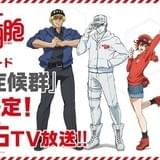 「はたらく細胞」新作エピソードが12月26日放送 一般細胞のイタズラが大騒動を巻き起こす