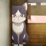 「同居人はひざ、時々、頭のうえ。」ひとりと一匹が絆を深めていくメインPV公開