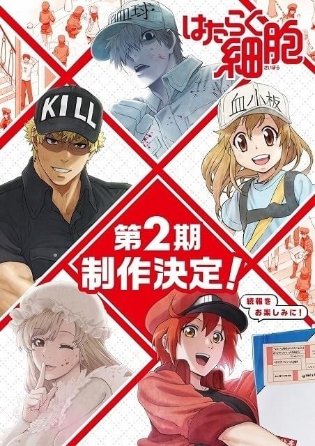 はたらく細胞」第2期制作決定 花澤香菜、歓喜のガッツポーズ