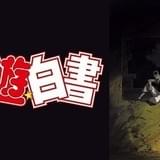 「幽☆遊☆白書」の新作アニメ「TWO SHOT」「のるかそるか」がdTVで独占先行配信