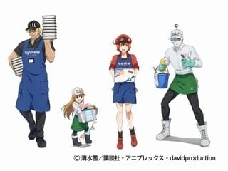 細胞たちがハンズ&ヴィレヴァン店員に!