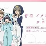「青春ブタ野郎はゆめみる少女の夢を見ない」本予告公開 「青春ブタ野郎展」開催も決定