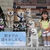 新津ちせちゃんが実写映画初主演、父・新海誠のアドバイスは「楽しんでおいで」