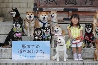 ヒット祈願した新津ちせちゃん