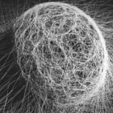 東映アニメーション×円谷プロ、怪獣と少女の物語を描く3DCGアニメ「怪獣デコード」共同製作