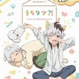 斉藤壮馬&小野賢章、「うちタマ?!」現場でかわいさ探求中 「かわいいのに攻めてる」って何?