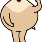 ハム CV：葉山翔太