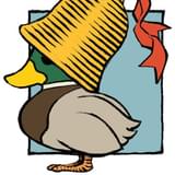 【かねやん的アニラジの作り方】第14回 新型コロナウイルス騒動とベルガモ