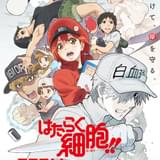 「はたらく細胞」第2期、21年1月放送決定 今秋に特別上映版を劇場公開