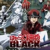 「はたらく細胞BLACK」21年にTVアニメ化 榎木淳弥&日笠陽子出演、ナレーションに津田健次郎