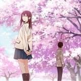 劇場アニメ「君の膵臓をたべたい」Eテレで5月2日放送