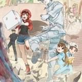 「はたらく細胞」第1期が7月4日から再放送 花澤香菜、前野智昭ら出演の特番も配信