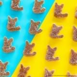 グミのほぼすべてがピカチュウ（メス）型