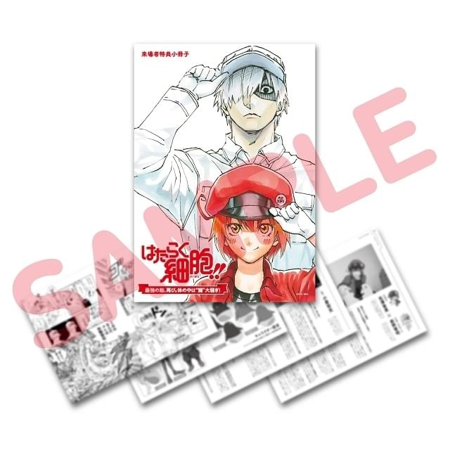 特別上映版「はたらく細胞!!」初日舞台挨拶のライブビューイング決定