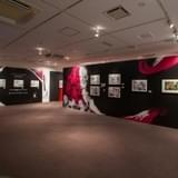 春高本戦ゾーン「バケモンたちの宴」