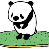 パンダしゅん