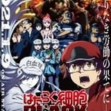「はたらく細胞BLACK」椎名へきるほか出演決定 放送は「はたらく細胞!!」との連続1時間枠に