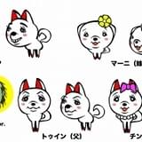 蒼井翔太が“幸せを呼ぶ犬”に 愛と開運伝えるショートアニメ「キンタマーニドッグ」21年1月放送